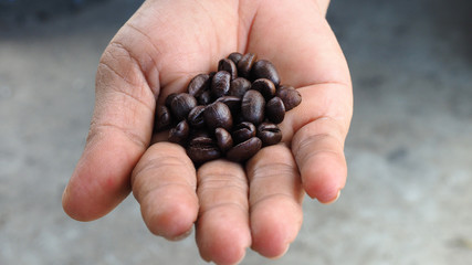 Close up coffee beans on hand 