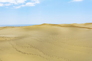 Fototapeta na wymiar Desert of sand.