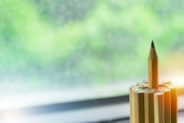 outstanding pencil stand higher than other. successful and achievement concept