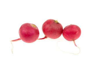 radishes on a white background