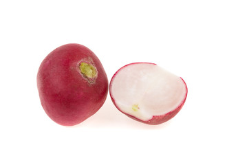 radish on a white background