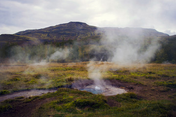 The geothermal field in Haukadalur Iceland. Small boiling and steaming geyser, field and hill in the background.  One of the most famous tourist attractions in The Golden Circle.