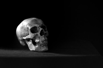 Single skull put on the black table and black wall in morgue room dim light adjustment color black and white for background