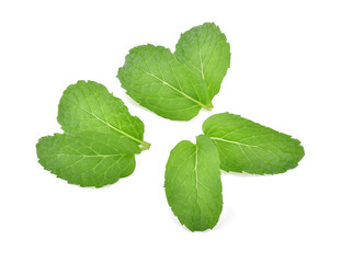 Mint green leaves isolated on white background.