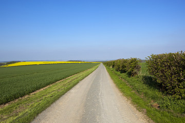 upland farm road and scenery