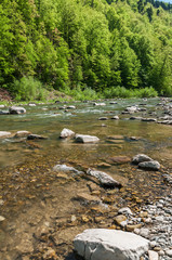 Mountain landscape, forest and fast mountain river. Beautiful scenery with a mountain river