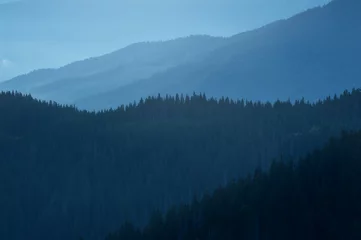 Blue nature background © eternal aviv