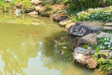 koi fish in garden pond decorative landscape design