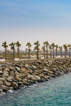 Perspective of the embankment near the sea with palm trees. Abu Dhabi, United Arab Emirates
