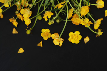 Yellow Little Flowers Black Background Flat Lay Copy Space spring Isoalted