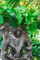 Buddha statue in green leaves