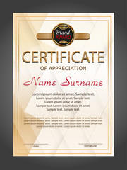 Vertical certificate appreciation or diploma template with geometric modern background. Vector