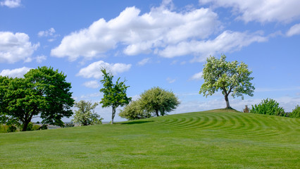 idyllic spring landscape, Fields and trees