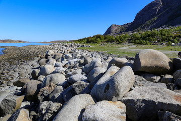 Obraz premium Countryside an summer day at Vega island in Northern Norway