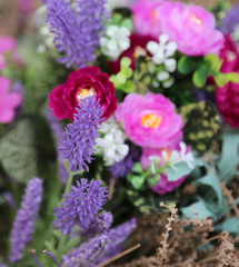 lavender flowers and many other plants