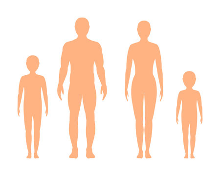 Male, female and children's  silhouette on white background, vector.