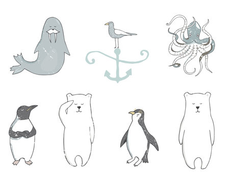 Polar bear clip art color texture character drawing illustration zoo element iceberg sea ocean life wildlife cute funny face smile winter hands white snow bear similar on white background