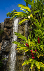 Hawaian waterfall