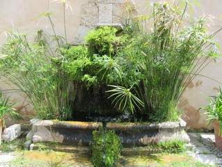 Stone urn with plants