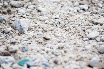 Sand or soil and stone for background.