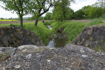 Stream bed in green grass