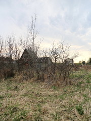 rustic spring landscape