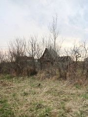 rustic spring landscape