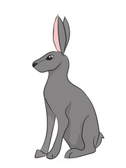 hare gray vector