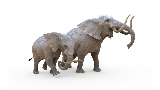 3d Illustration Elephant Isolate on White Background with Clipping Path. Albino Elephant.
