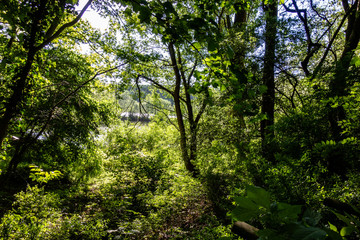 Fototapeta premium Trip to Trebur - Germany Hessen 