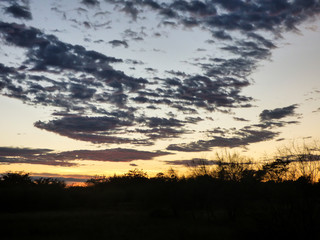 Sunrise in the countryside - pampa region in the South of Brazil