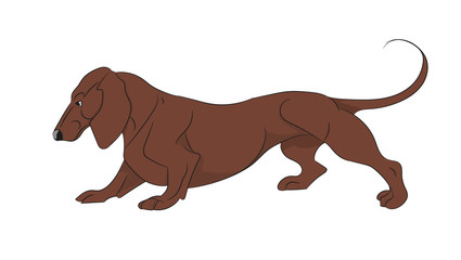 cartoon dachshund