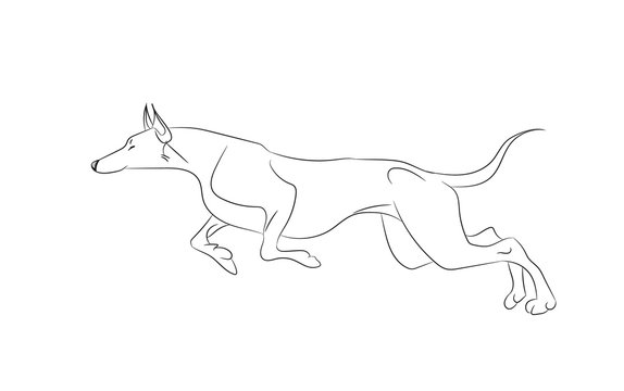 dog running, lines, vector