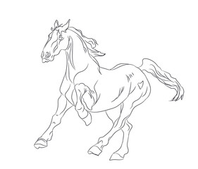 Obraz na płótnie Canvas horse running, lines, vector