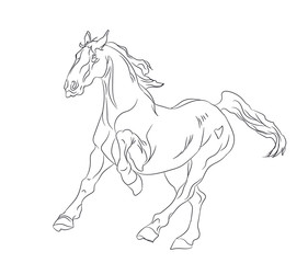 horse running, lines, vector