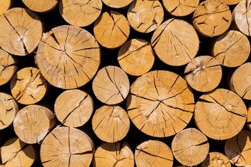 Fototapeta premium Pile of worked wooden roundish clear beautiful logs, stacked firewood background, view at saw cut, sunny day