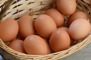 eggs in basket