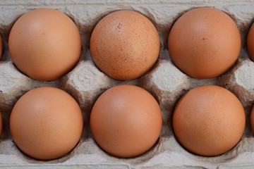 eggs in a carton