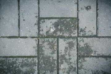 Decorative paving slabs. Exterior finishing.
