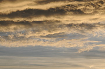 This morning RR.ART_5