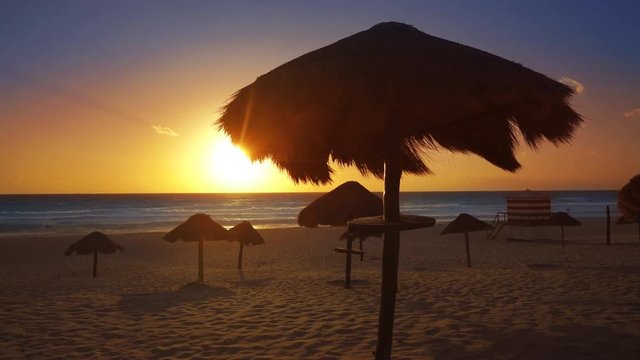 Cancun delfines beach in Caribbean Riviera Maya