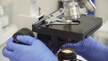Doctor woman working with a microscope in Laboratory. Female scientist looking through a microscope in lab. Scientist using a microscope in a laboratory.