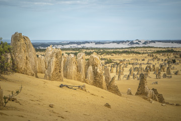 The Pinnacles Desert Australia with its amazing landscapes