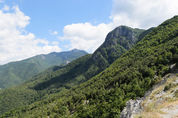 Pollino National Park is the largest nature reserve in Europe and one of the largest national parks in the world.