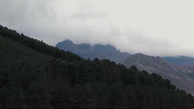 timelapses bosques de monta&ntilde;a