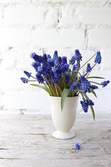 Still-life with a bouquet of muscari on a white brick wall background.