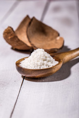 Coconut flakes in a shell on a blue background