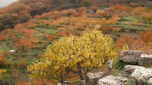 Oto&ntilde;o en el valle del jerte