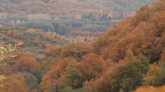 Oto&ntilde;o en el valle del jerte