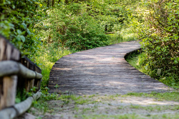 A winding wooden bridge in the forest. A forest path leading across a bridge in a dendrological park.